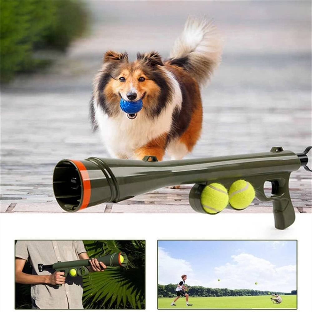 DtopbuyAge - Lanceur de balles pour chien DtopbuyAge - Image 5