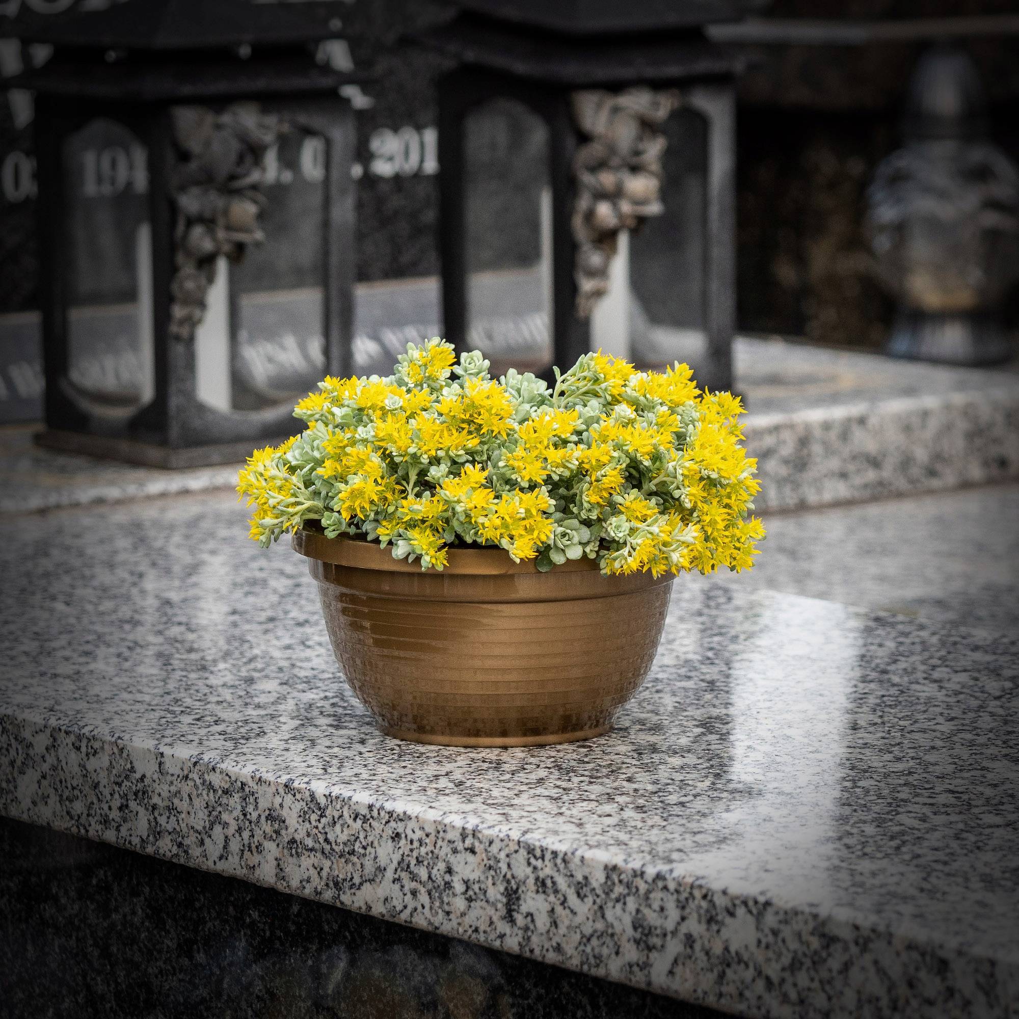 Bol à fleurs rond en plastique - Résistant aux intempéries - Diamètre: 13 cm - Doré - Image 5
