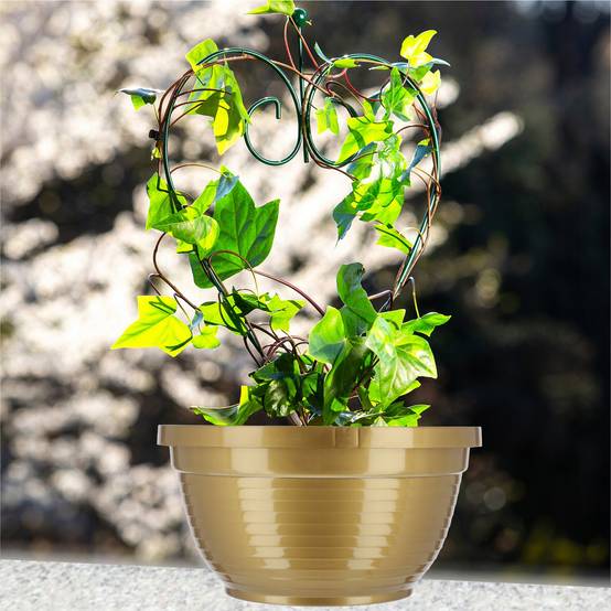 Bol à fleurs rond en plastique - Résistant aux intempéries - Diamètre: 13 cm - Doré - Image 7