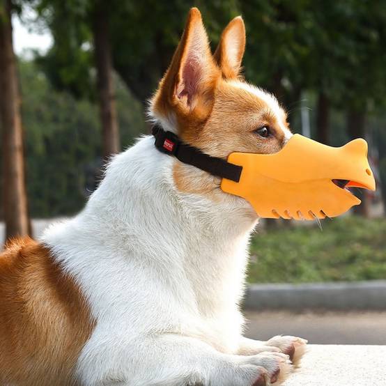 IntiMeg - Muselière anti-morsure pour chien XL IntiMeg - Image 8