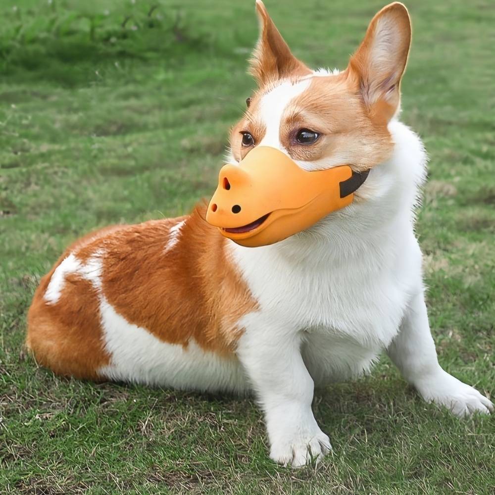 IntiMeg - Muselière anti-morsure pour chien XL IntiMeg - Image 9