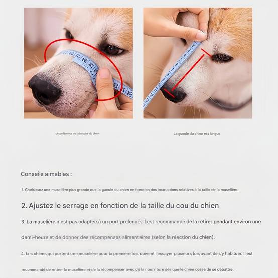 IntiMeg - Muselière anti-morsure pour chien XL IntiMeg - Image 7