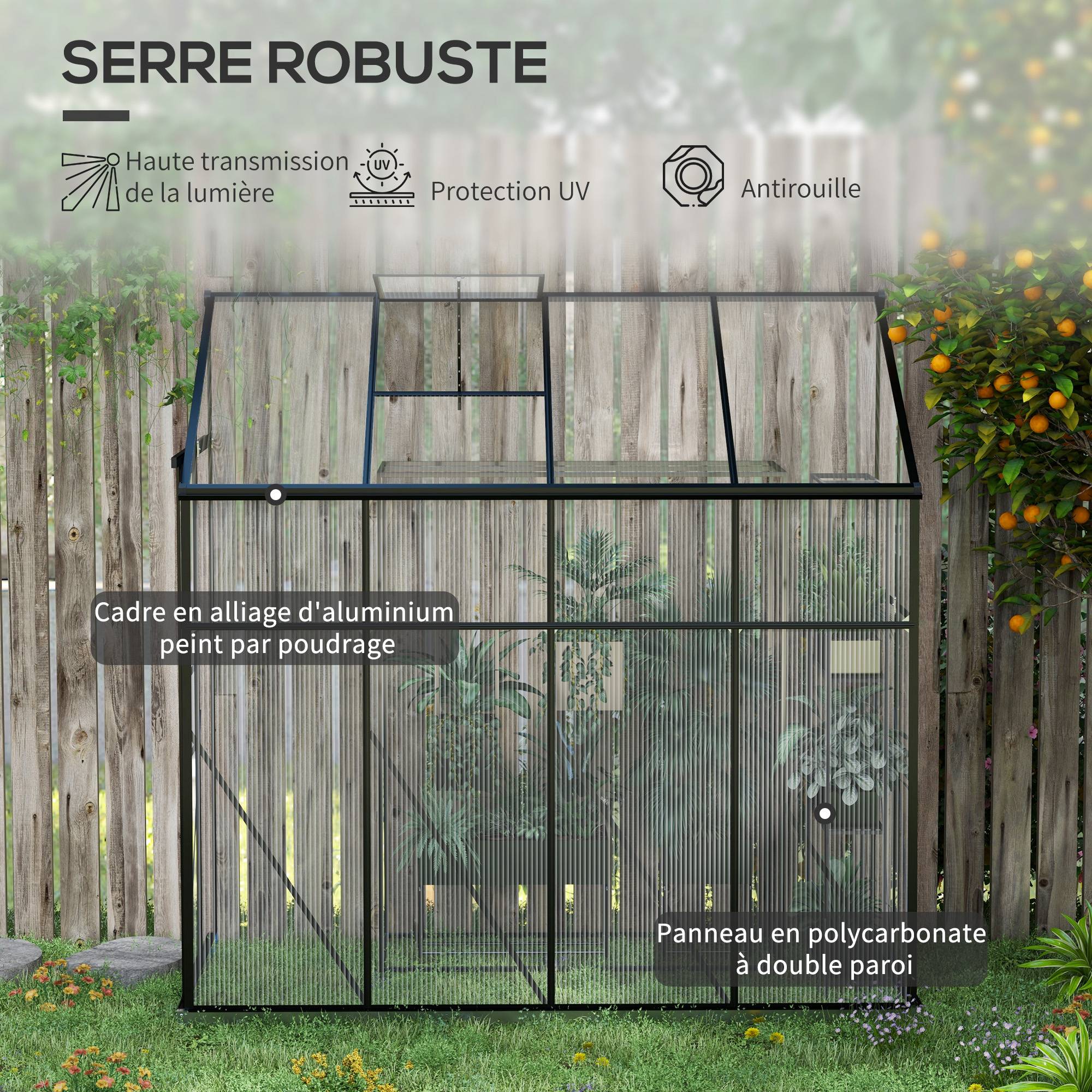 Serre de Jardin Adossée Polycarbonate Noir Porte Coulissante 127x253x240cm - ComfortXL Outdoor Living - Image 6