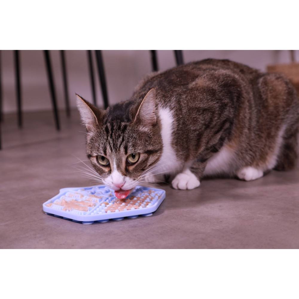 Zolux - Tapis à lécher silicone ventouses 18.5 x 15.5 cm bleu pour chat - Image 3