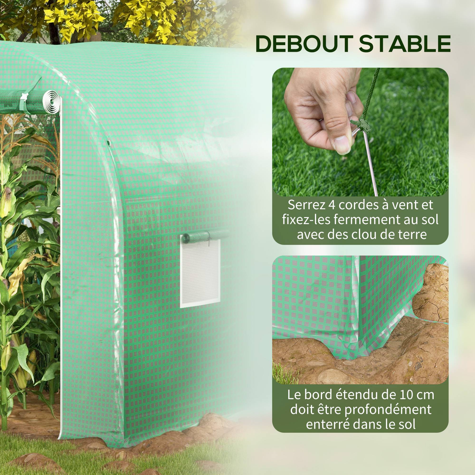Serre de Jardin Tunnel Surface Sol 6 m² châssis Tubulaire renforcé Porte zippée 4 fenêtres enroulables Vert - Image 7