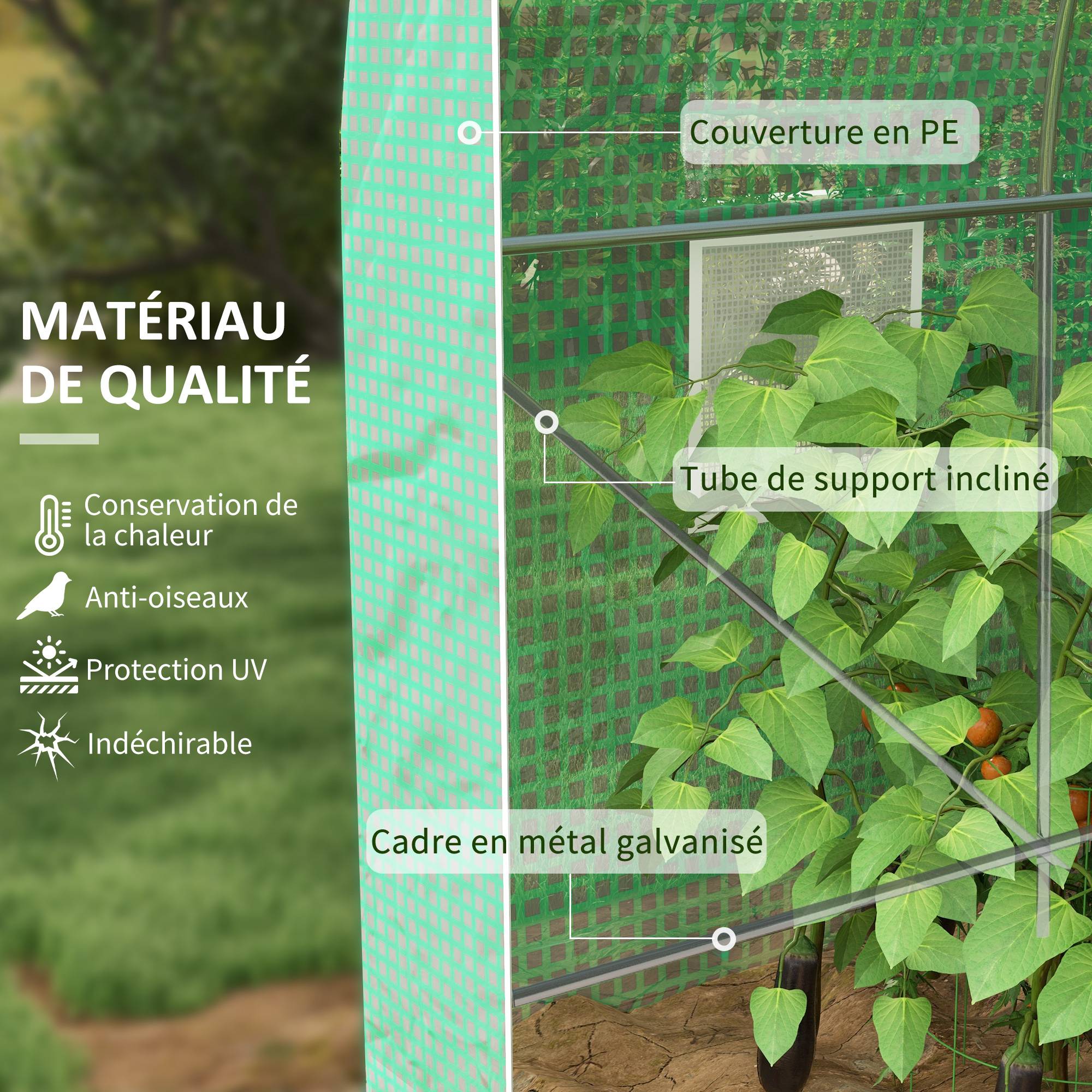 Serre de Jardin Tunnel Surface Sol 6 m² châssis Tubulaire renforcé Porte zippée 4 fenêtres enroulables Vert - Image 6