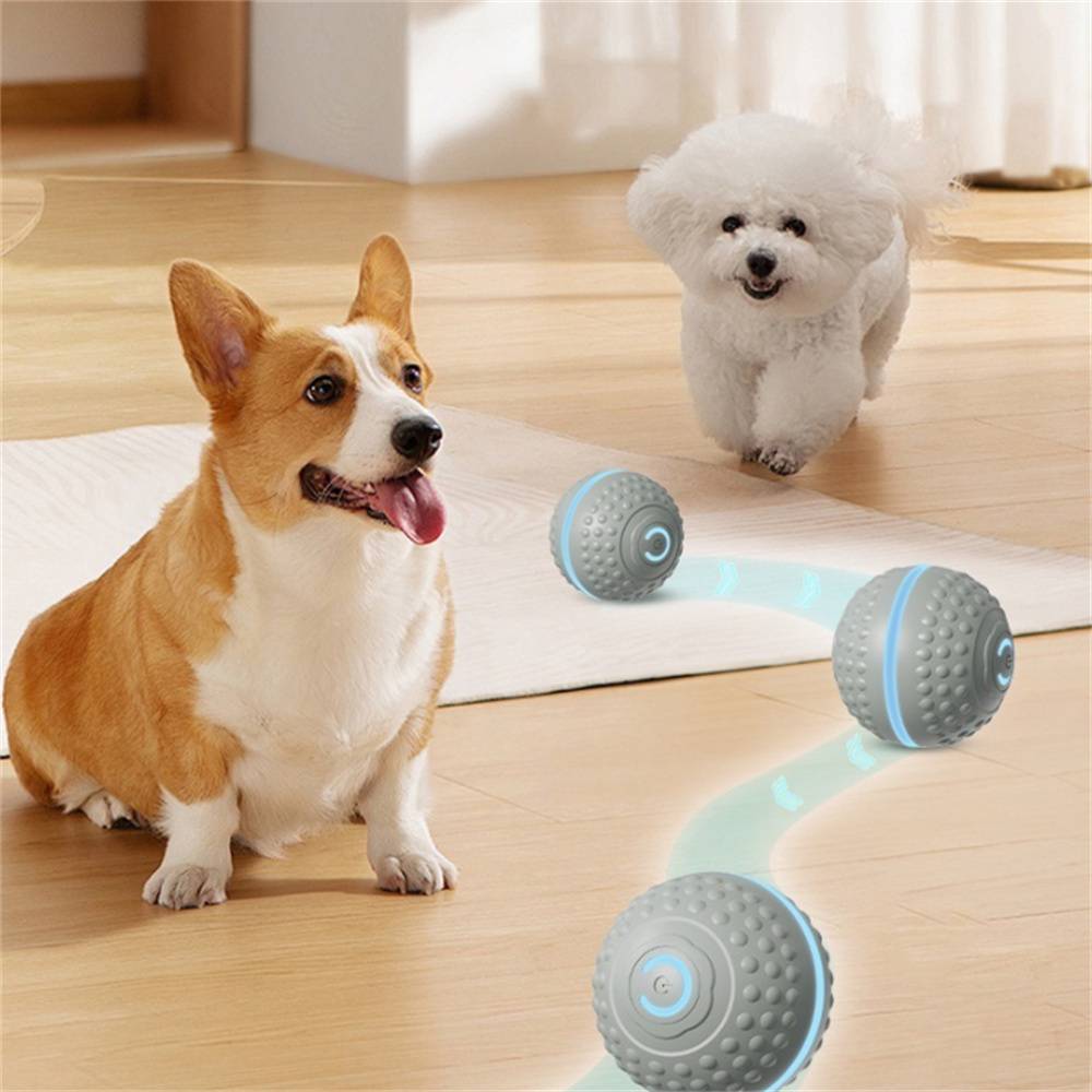 Dog Comets Balle Earth Jouet Pour Chien 14 Cm - Flottant Pour Grand Chien