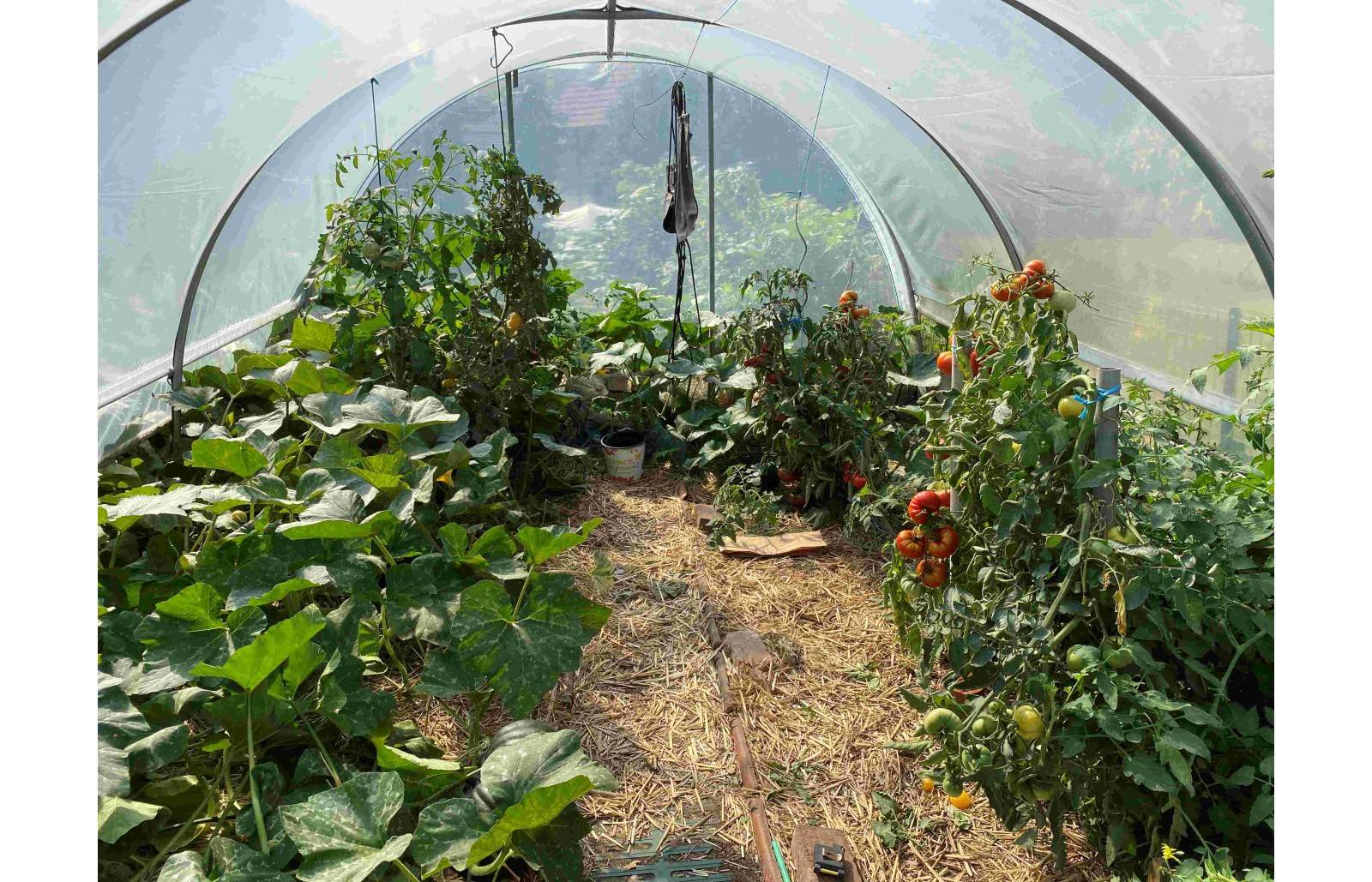 Serre tunnel de jardin - 16m² -  3,7 x 4,5 m - pieds arrondis - polyéthylène haute densité - aérations latérales - LES SERRES TONNEAU - Image 9