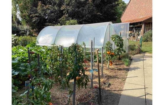 Serre tunnel de jardin - 16m² - 3,7 x 4,5 m - pieds arrondis - polyéthylène haute densité - aérations latérales - LES SERRES TONNEAU - Image 5