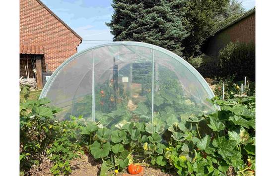 Serre tunnel de jardin - 16m² - 3,7 x 4,5 m - pieds arrondis - polyéthylène haute densité - aérations latérales - LES SERRES TONNEAU - Image 6