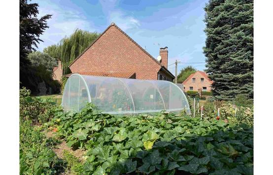 Serre tunnel de jardin - 16m² - 3,7 x 4,5 m - pieds arrondis - polyéthylène haute densité - aérations latérales - LES SERRES TONNEAU - Image 7