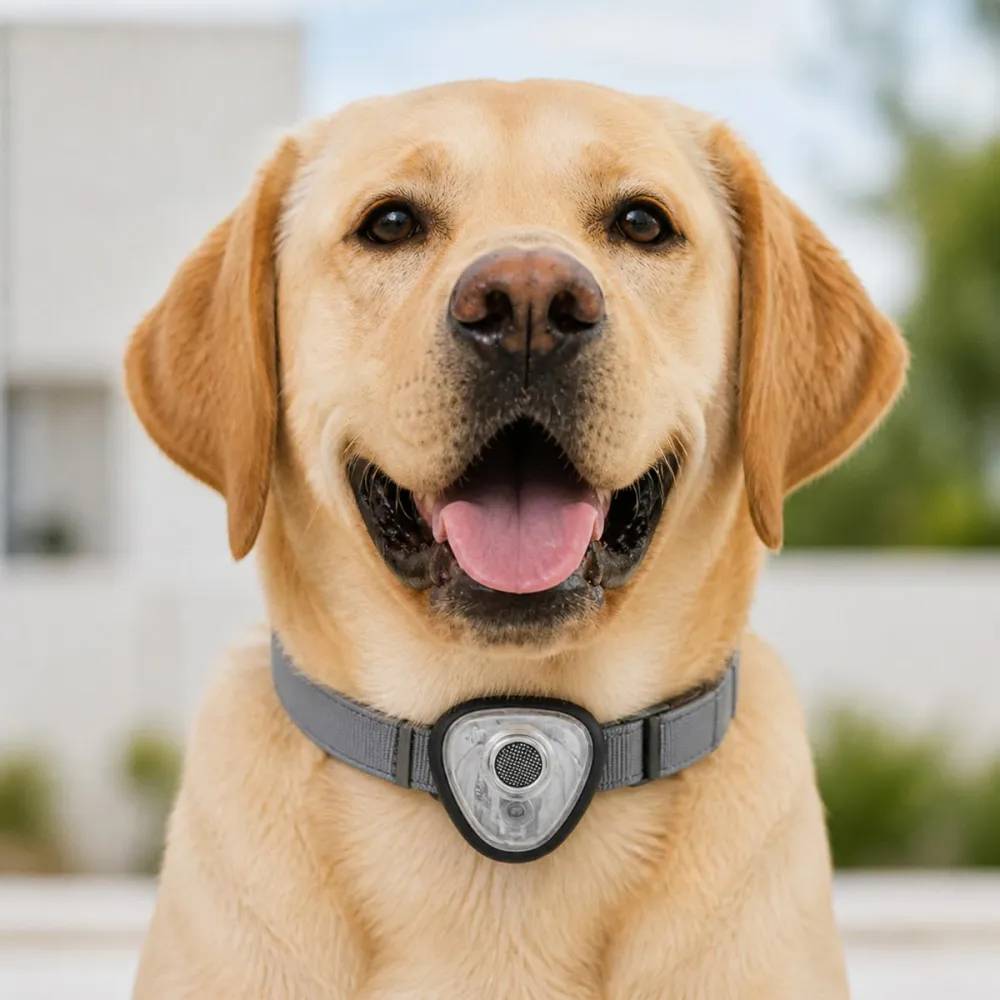 Autre - Répulsif électronique anti tiques et puces pour chien et chats noir - Image 6