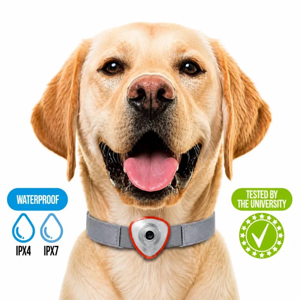 Autre - Répulsif électronique anti tiques et puces pour chien et chats noir - Image 8