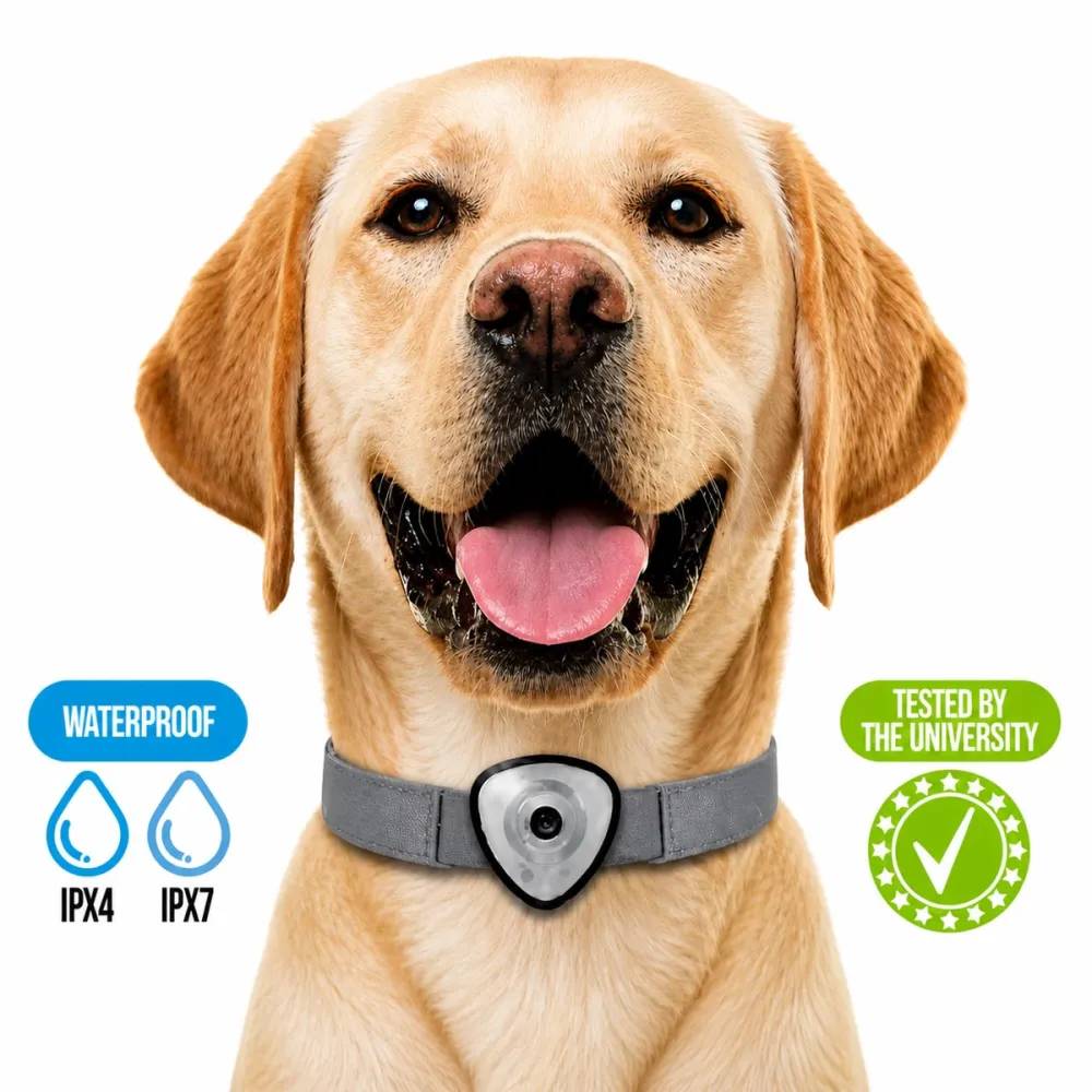 Autre - Répulsif électronique anti tiques et puces pour chien et chats noir - Image 7