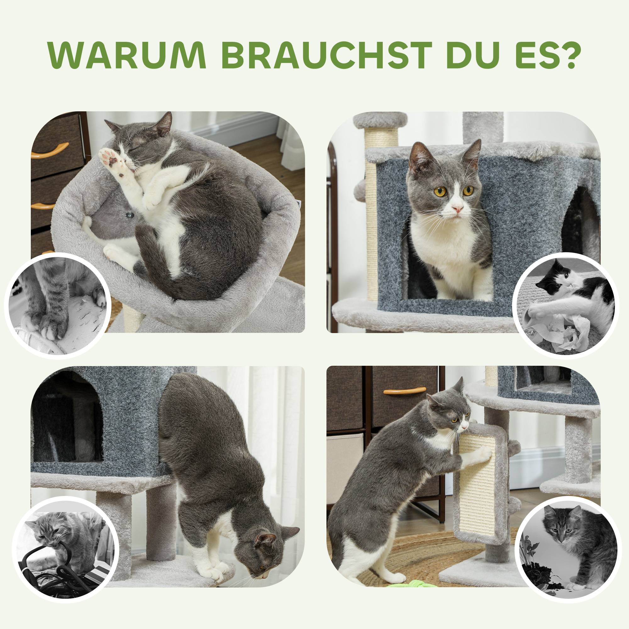 Arbre à chat bois et peluche pour chats jusqu'à 5kg griffoir et repos gris clair 104cm - ComfortXL Outdoor Living - Image 9