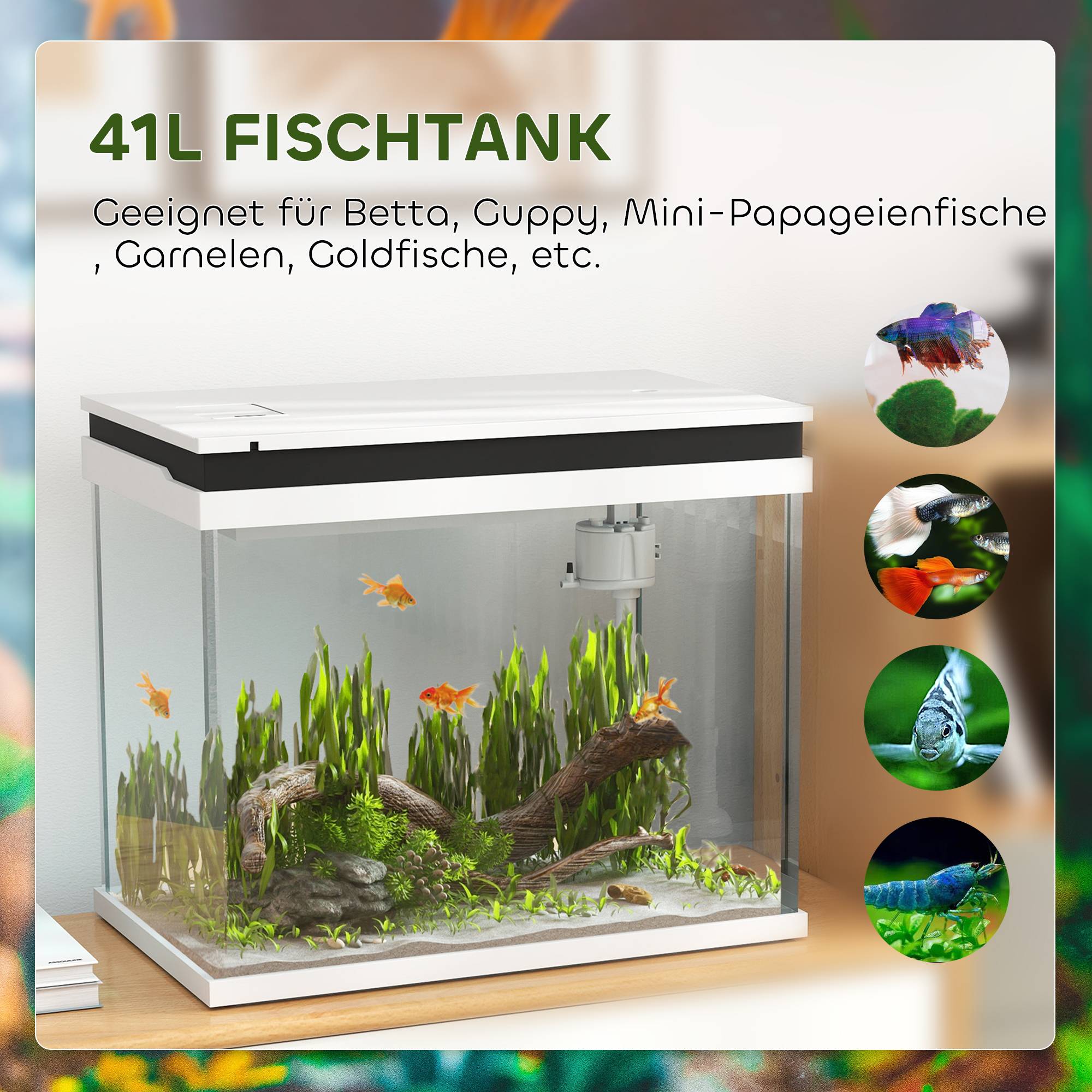 ComfortXL - Aquarium 41L en verre pour poissons avec filtre pompe et éclairage LED 48x30x41cm blanc - ComfortXL Outdoor Living - Image 5