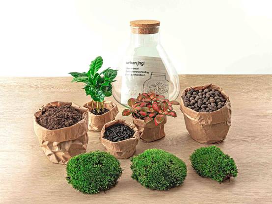 Terrarium à composer bouteille en verre recyclé - Ø22-H26cm - avec kit 4 outils - Terrarium DIY - Image 2