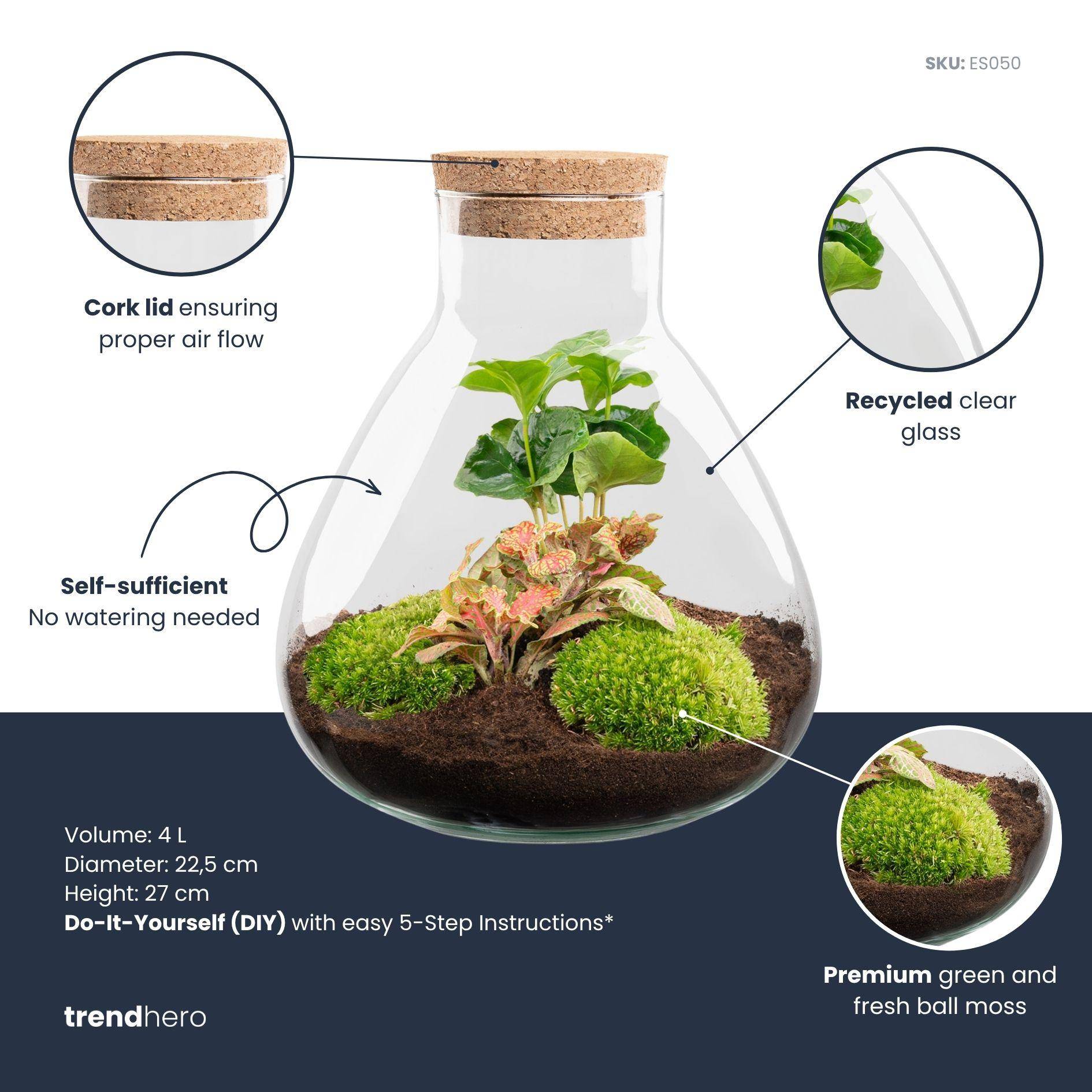 Terrarium à composer bouteille en verre recyclé - Ø22-H26cm - avec kit 4 outils - Terrarium DIY - Image 3
