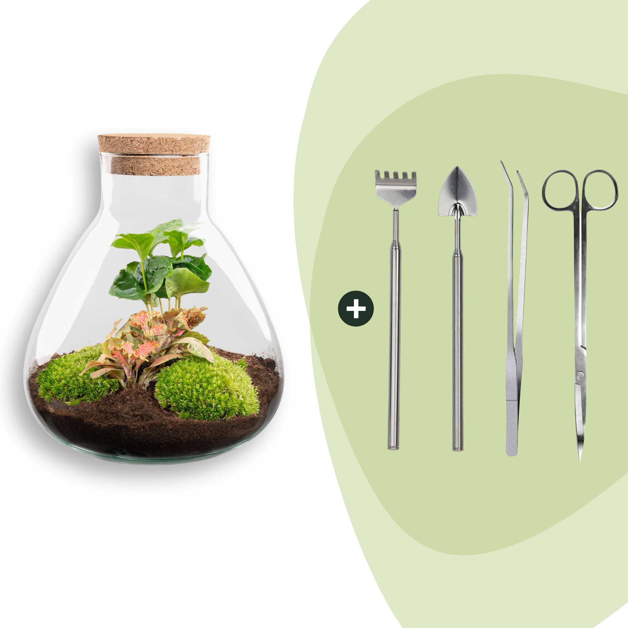 Terrarium à composer bouteille en verre recyclé - Ø22-H26cm - avec kit 4 outils - Terrarium DIY - Image 1