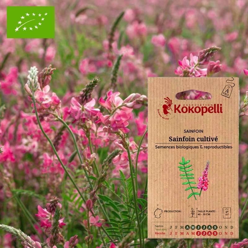 Sainfoin Cultivé- Graines bio à semer - Image 1