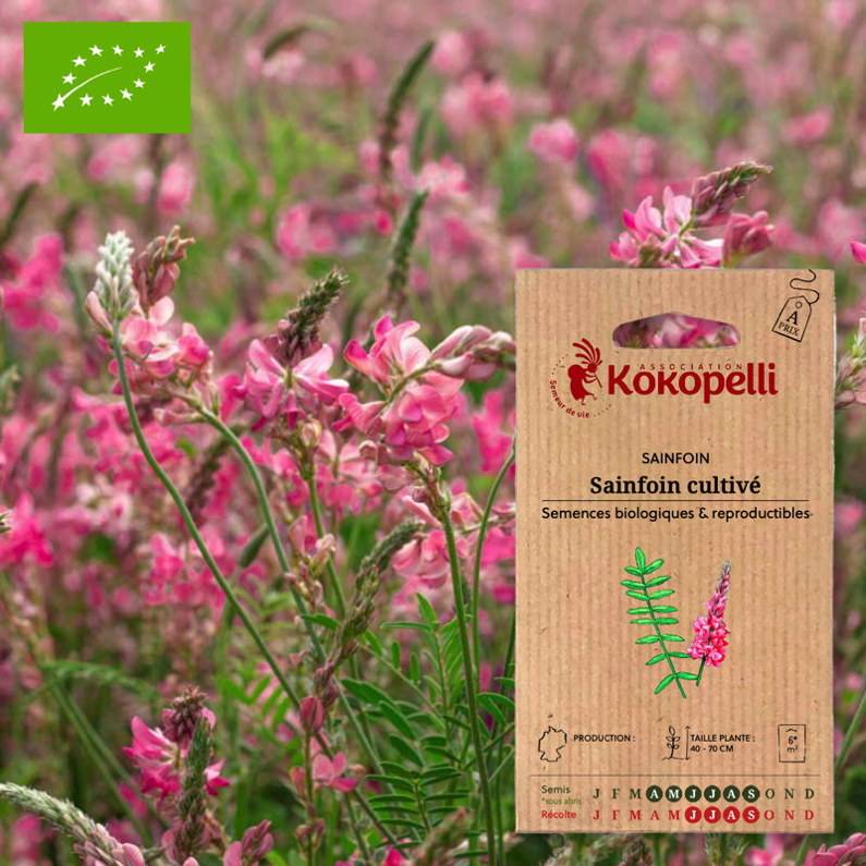 Association Kokopelli - Sainfoin Cultivé- Graines bio à semer - Image 1