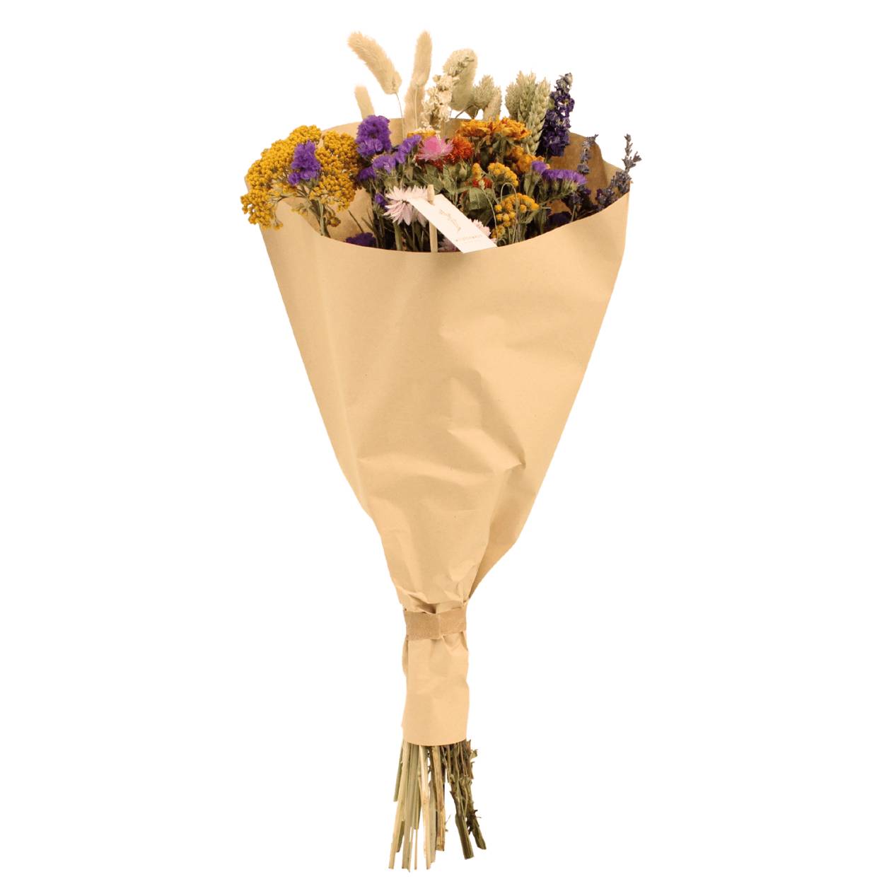 PANGIVO - Bouquet de fleurs séchées multicolore 25 x 25 x 60 cm - PANGIVO - Image 1