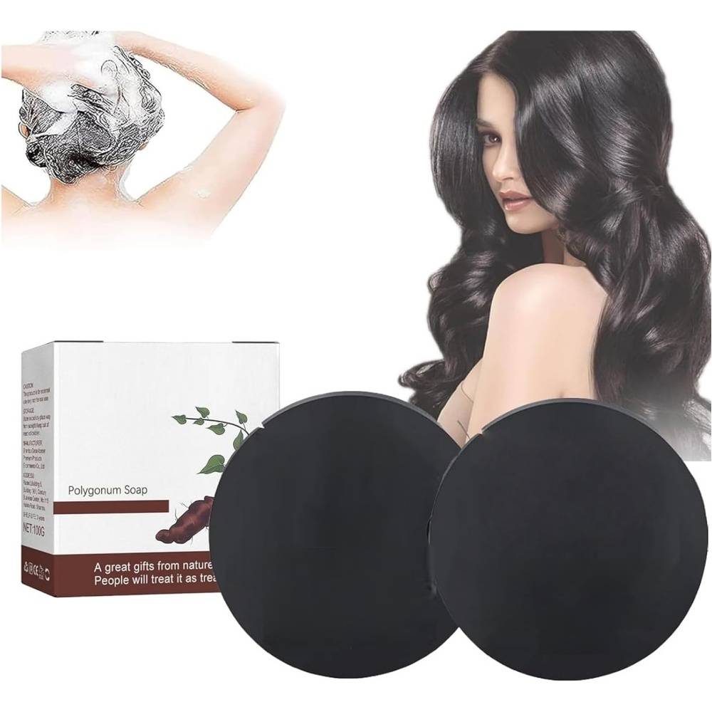 Savon-Lot de 2 savons shampooing Polygonum Multiflorum 100g - Cheveux noirs et épais - Living123