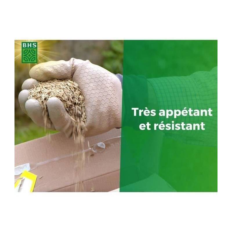 BHS - SEMENCES ESPACES NATURE BASSE-COUR 1KG - Image 5