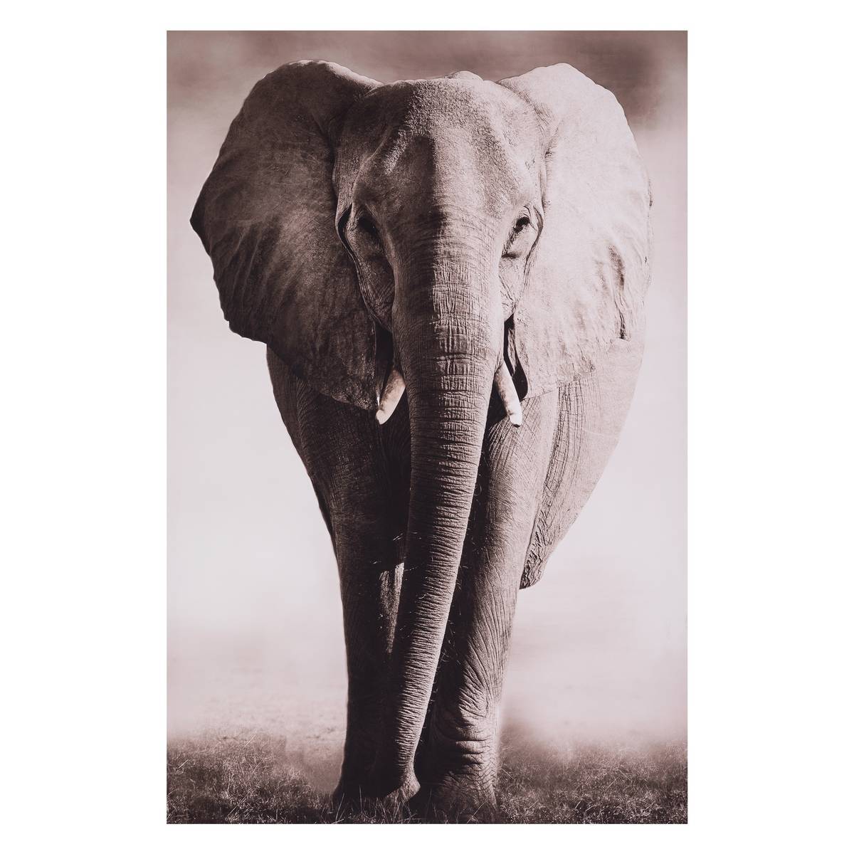 Atmosphera - Toile encadrée "Animaux" 75x115cm - Atmosphera Créateur d'intérieur - Image 1