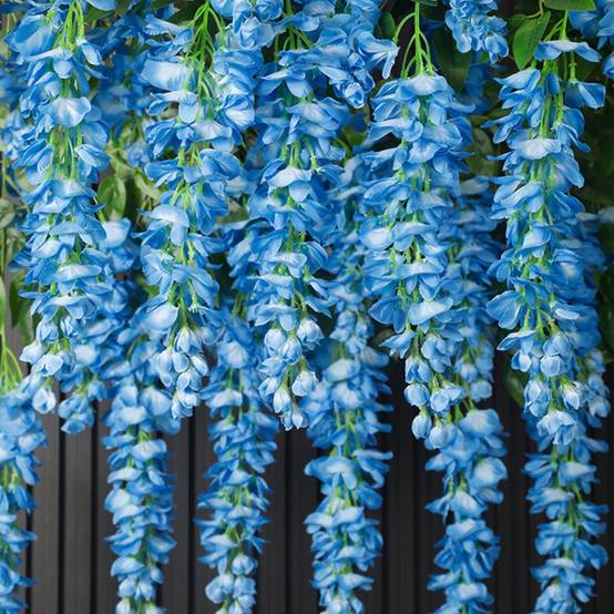 Décoration Plafond Glycine et Cassia Artificielles Bleu - Lot de 2 - Fleurs Réalistes Sans Entretien - Lytech - Image 1