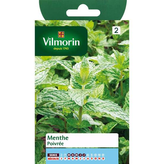 Promesse de Fleurs - Menthe poivrée le sachet de 2000 graines environ (0,2g)