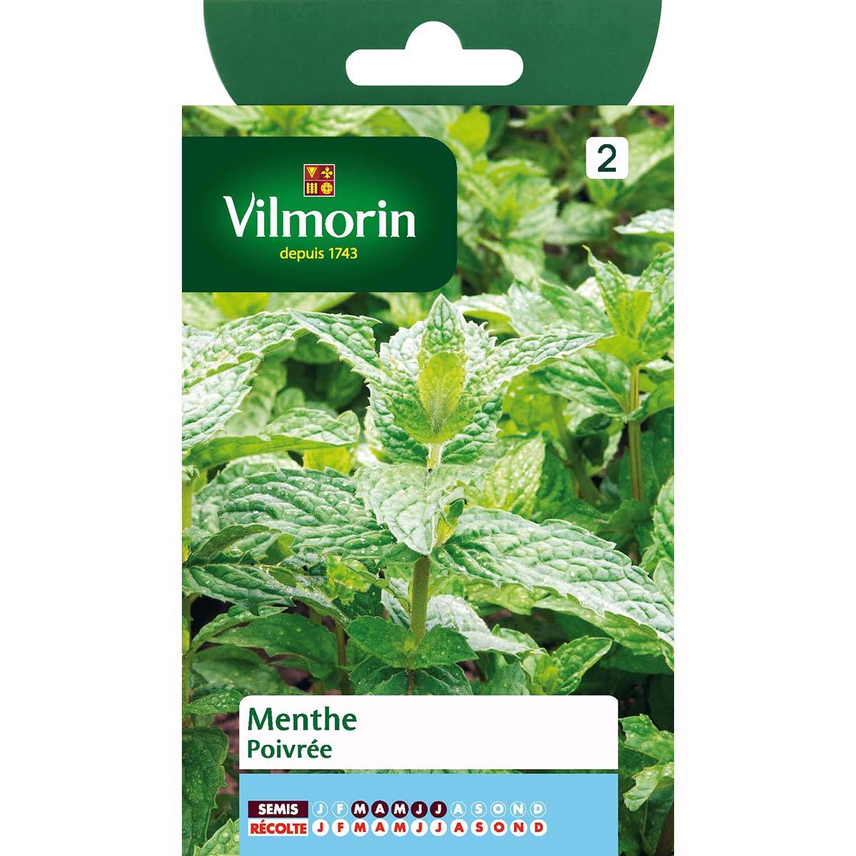 Promesse de Fleurs - Menthe poivrée le sachet de 2000 graines environ (0,2g)