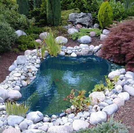 Ubbink - Bassin de jardin préformé Calmus 145/220 L, Capacité 145 L - Image 2