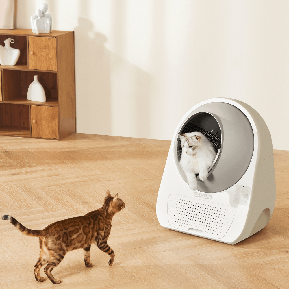 Catlink Pro Ultra Litière automatique pour chats avec caméra IA CATLINK - Image 2