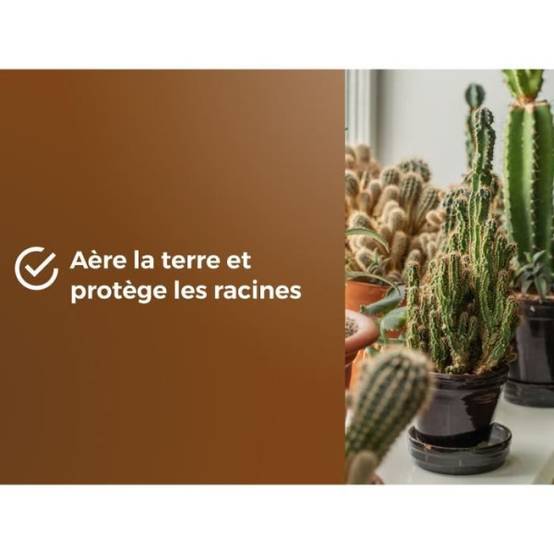 Or Brun - Substrat Cactus Et Plantes Grasse Uab 6 L / Nc - Or Brun - Image 4