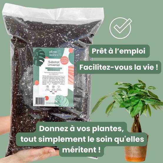 Substrat Universel enrichi en Mycorhize et Bacillus - Qualité Supérieure - Terreau universel - 4L - Image 7