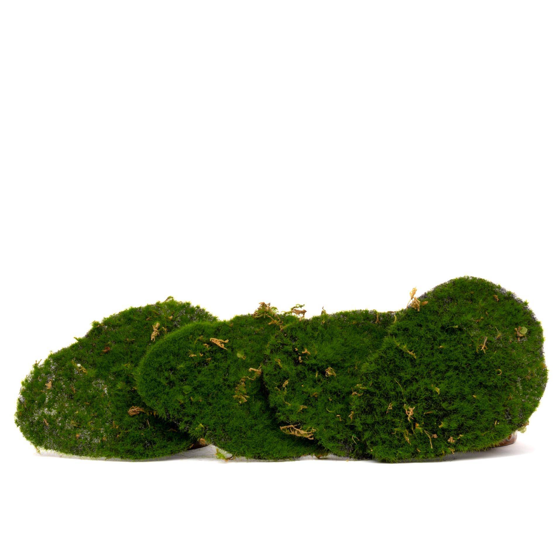 PANGIVO - Plaques de mousse synthétique vert 16 x 12 x 1 cm - PANGIVO - Image 3