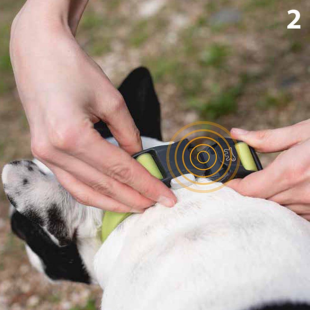 Ferplast - Collier pour Chiens EVOLUTION C25/70 avec Boucle Magnétique, Hypoallergénique, Lavable, Noir - Image 4