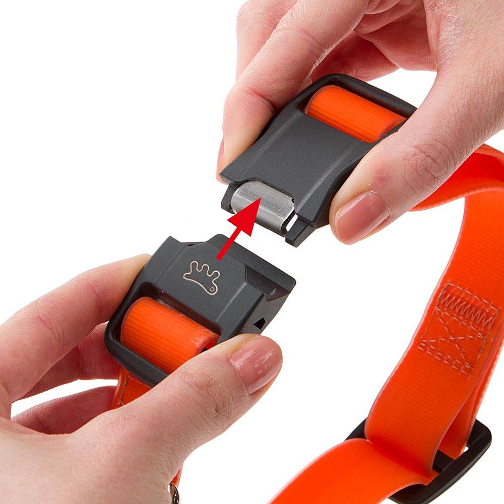 Ferplast - Collier pour Chiens EVOLUTION C25/70 avec Boucle Magnétique, Hypoallergénique, Lavable, Noir - Image 9