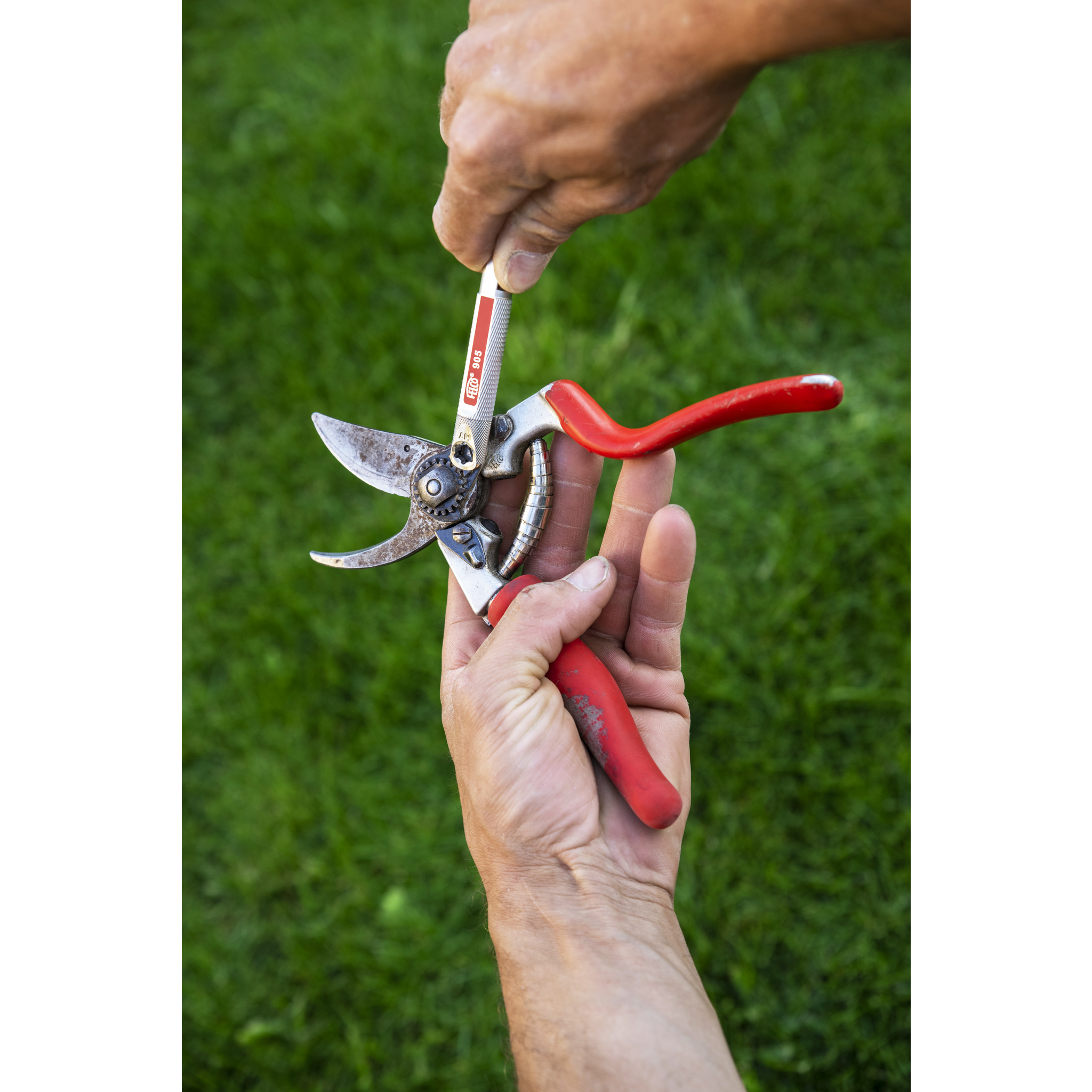 Felco - FELCO Outil d'affûtage simple n° 905 (pierre à aiguiser, pour sécateurs, taille compacte, manche en aluminium moulé, carbure de tungstène) FELCO 905 - Image 4