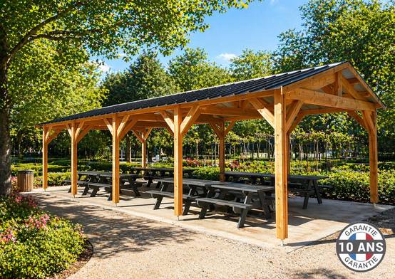 Carport SUR MESURE deux pentes 350 cm x 10 poteaux, bois DOUGLAS Français (Charpente en bois-auvent-abri voiture). Garantie 10 ans - Image 1