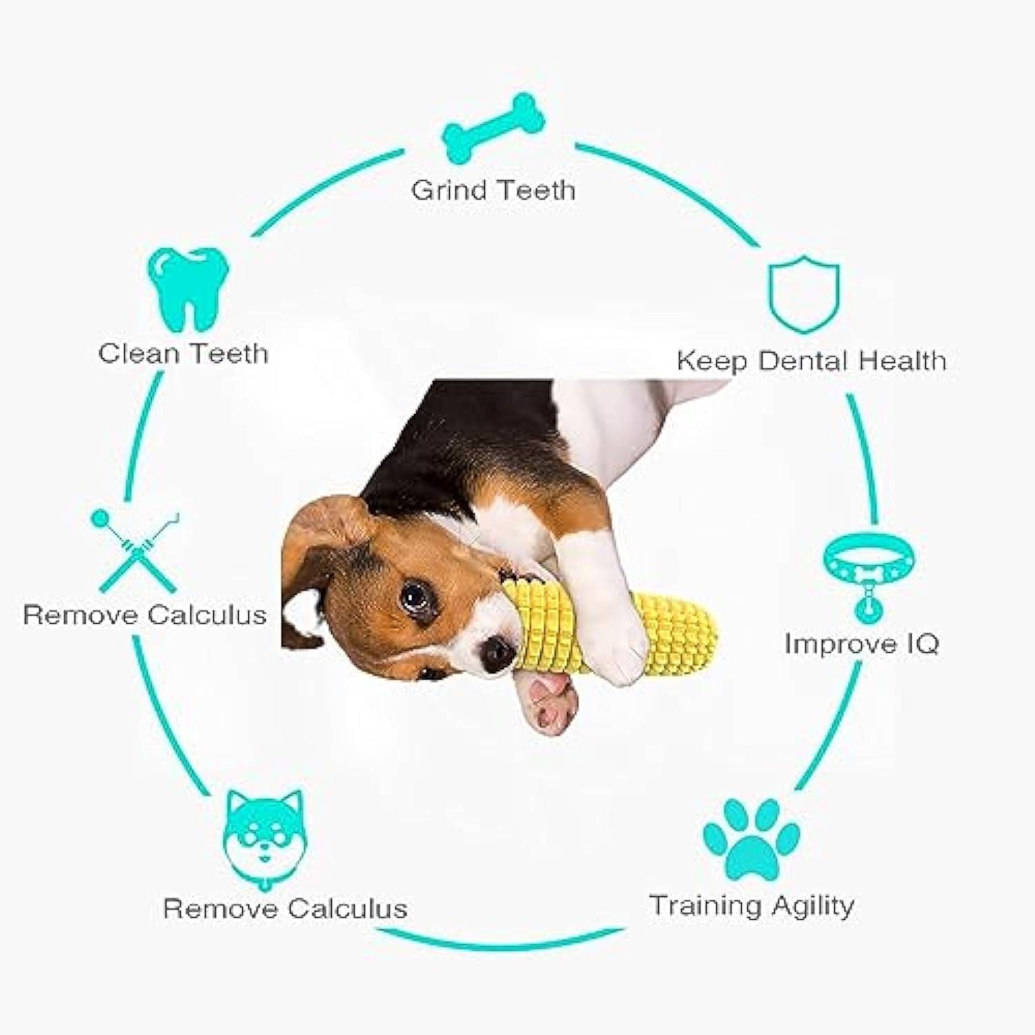 Jouet pour chien indestructible - Bâton à mâcher en caoutchouc TPR + Nettoyage des dents - Pour petits/moyens chiens - Living123 - Image 2