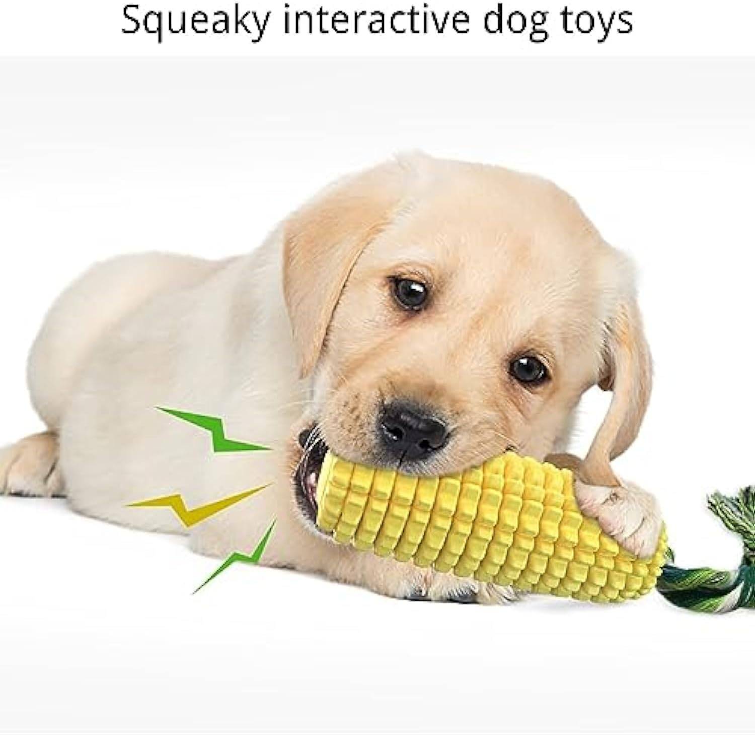 Jouet pour chien indestructible - Bâton à mâcher en caoutchouc TPR + Nettoyage des dents - Pour petits/moyens chiens - Living123 - Image 5