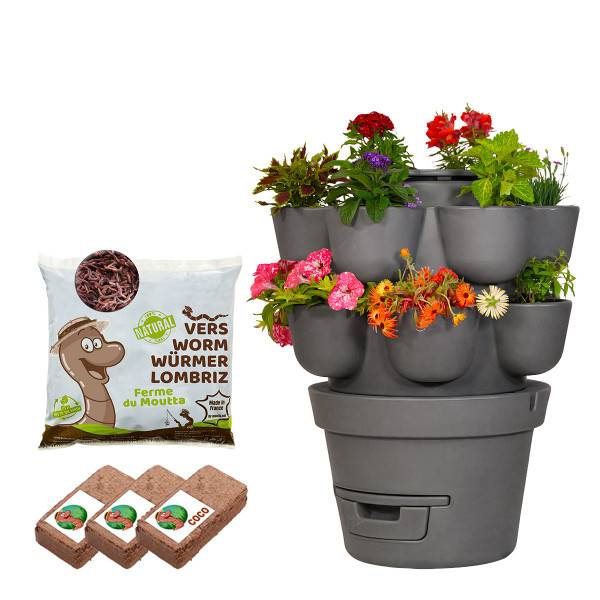 Ferme Du Moutta - WORMgarden Gris 2 jardinières + 250gr de Vers - Image 1