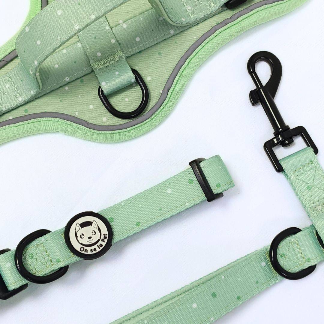 Collier réglable, rembourré et résistant - Vert Pastel – On se la Pet - Image 7