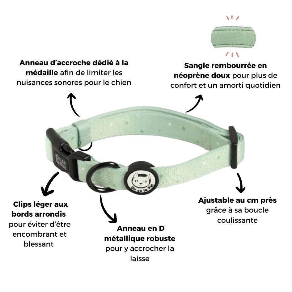 Collier réglable, rembourré et résistant - Vert Pastel – On se la Pet - Image 5