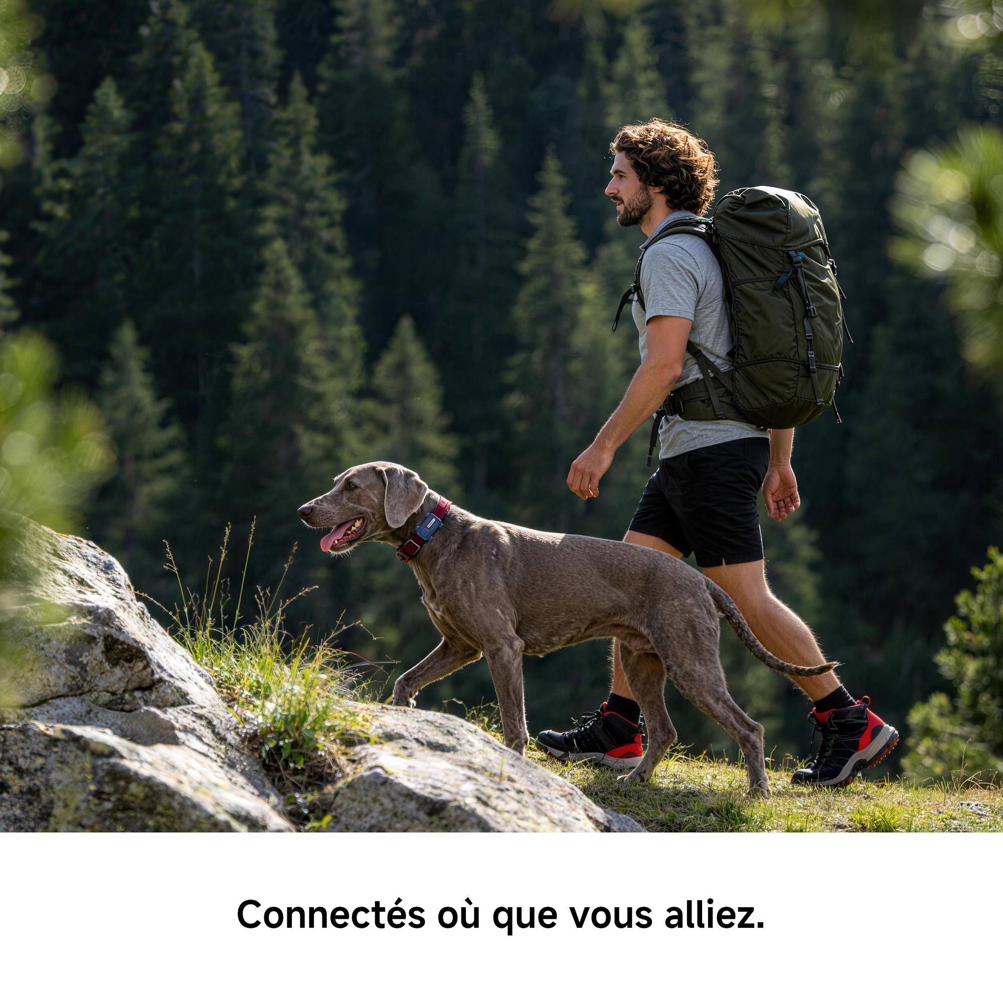 MOVA SureTrack Pro – Traceur GPS connecté pour chiens et chats, localisation en temps réel et alertes anti-fugue - Image 5