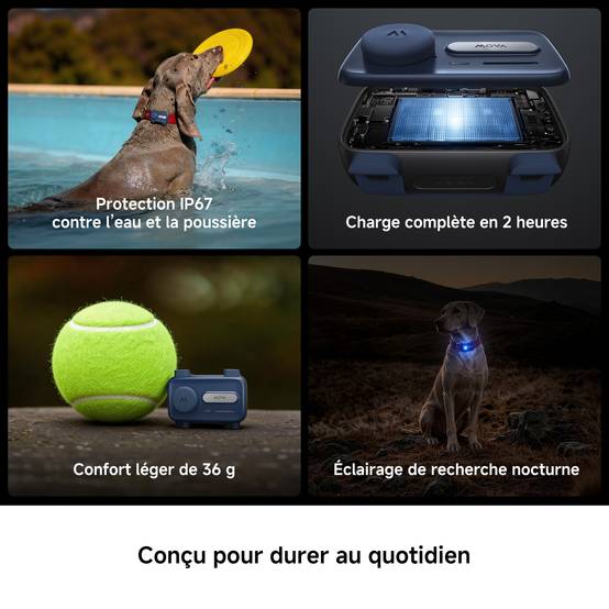 MOVA SureTrack Pro – Traceur GPS connecté pour chiens et chats, localisation en temps réel et alertes anti-fugue - Image 4