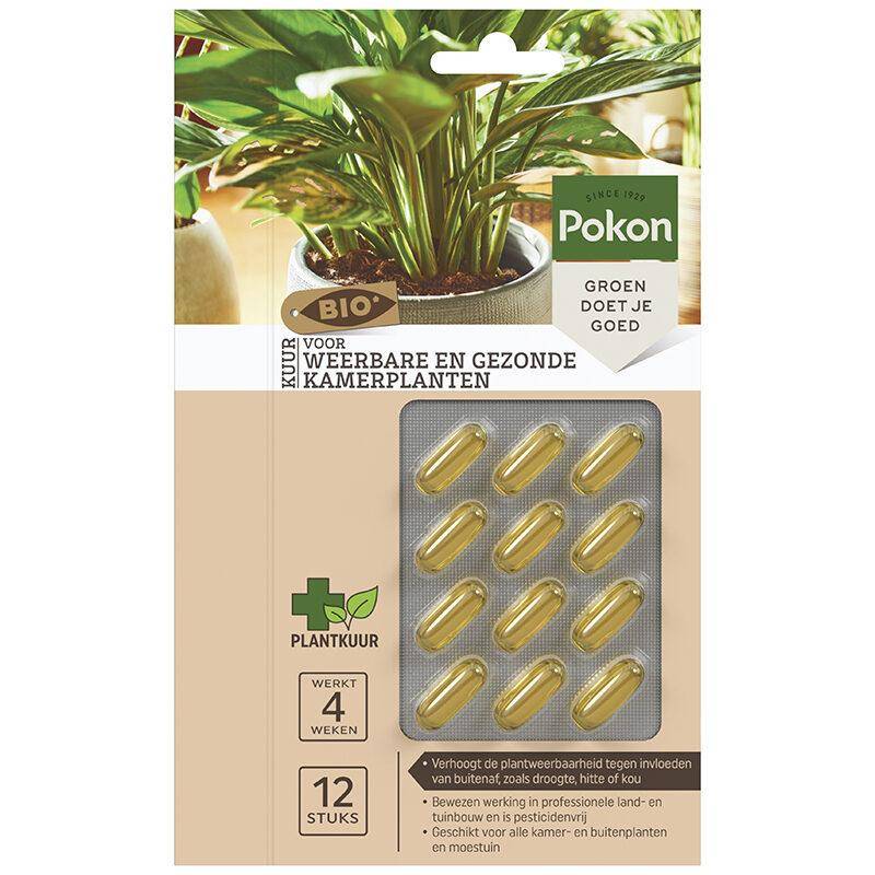 Engrais bio plantes d'intérieur en capsules - 12 pièces - Image 1
