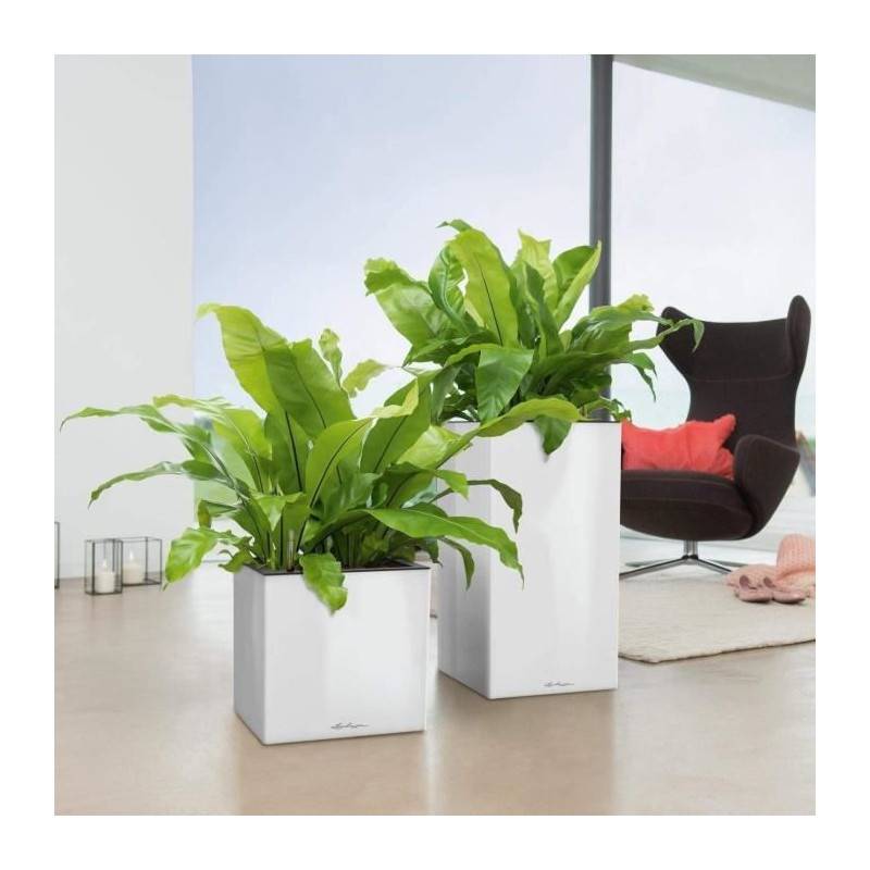 Lechuza - Pot De Fleur Lechuza Canto Premium Colonne 40 - Kit Complet, Argent Métallique - Image 5